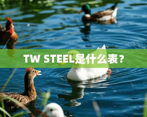 TW STEEL是什么表？