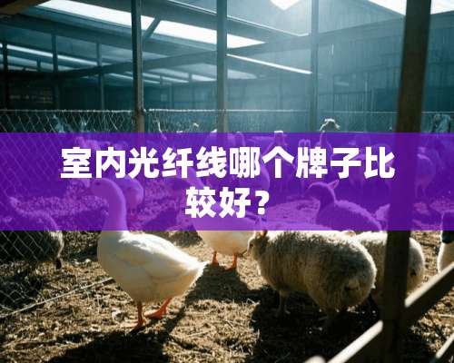 室内光纤线哪个牌子比较好？