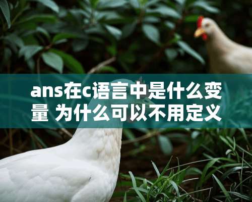 ans在c语言中是什么变量 为什么可以不用定义就赋值-99999999