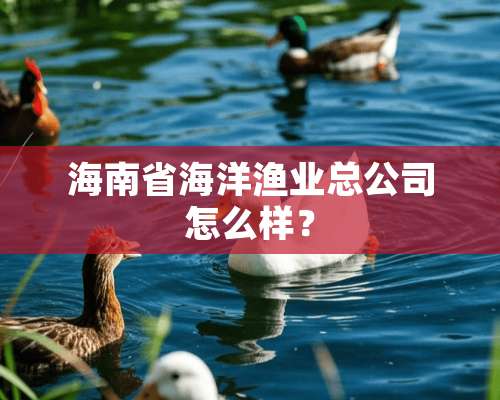 海南省海洋渔业总公司怎么样？