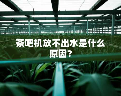 茶吧机放不出水是什么原因？