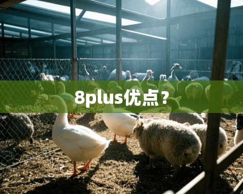 8plus优点？