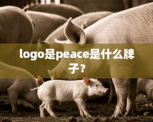 logo是peace是什么牌子？