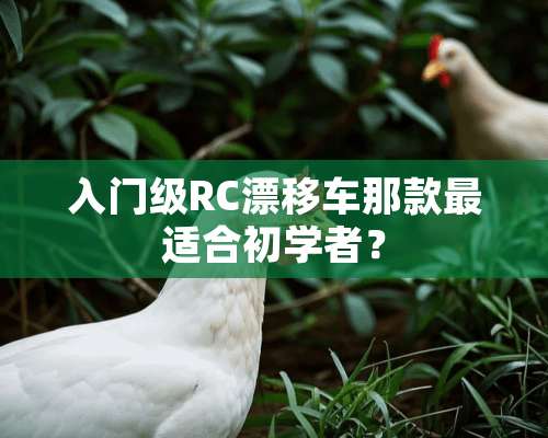 入门级RC漂移车那款最适合初学者？