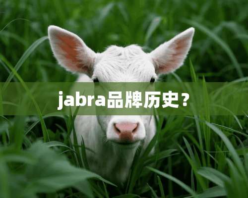 jabra品牌历史？