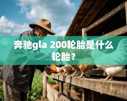 奔驰gla 200轮胎是什么轮胎？