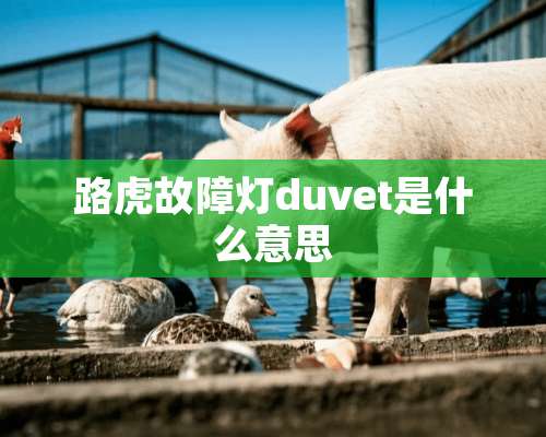 路虎故障灯duvet是什么意思