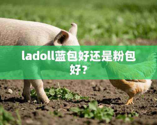 ladoll蓝包好还是粉包好？