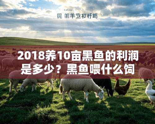 2018养10亩黑鱼的利润是多少？黑鱼喂什么饲料