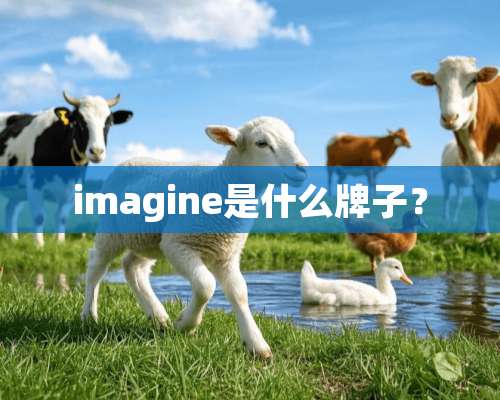 imagine是什么牌子？