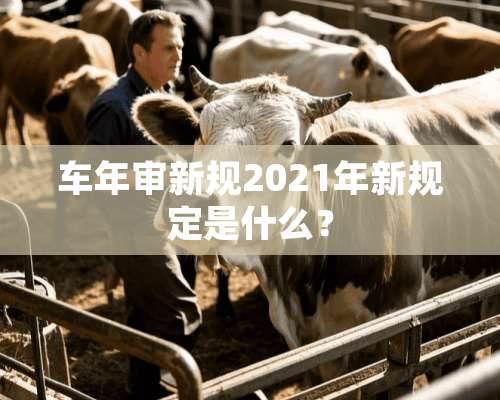 车年审新规2021年新规定是什么？