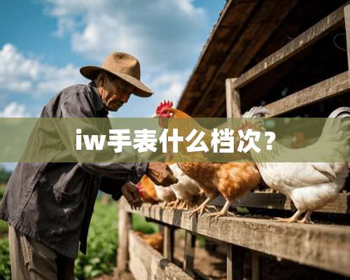 iw手表什么档次？