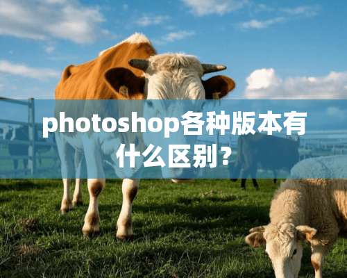 photoshop各种版本有什么区别？