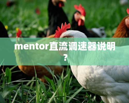 mentor直流调速器说明？