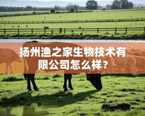 扬州渔之家生物技术有限公司怎么样？