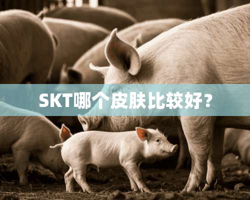 SKT哪个皮肤比较好？