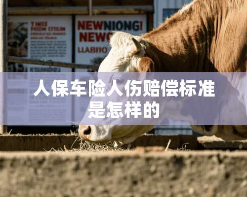 人保车险人伤赔偿标准是怎样的