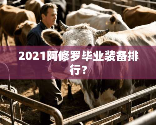 2021阿修罗毕业装备排行？