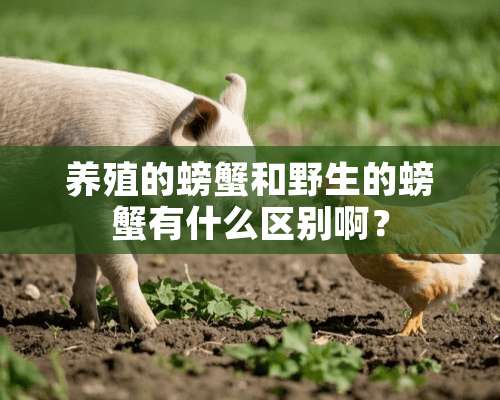 养殖的螃蟹和野生的螃蟹有什么区别啊？