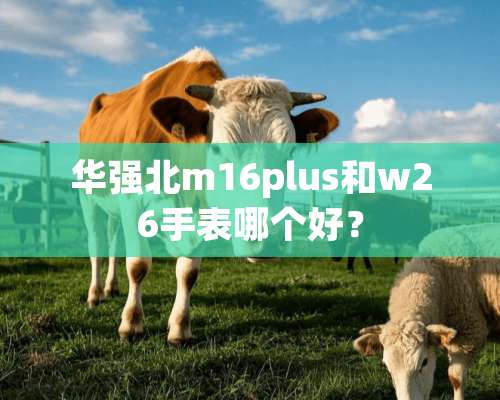 华强北m16plus和w26手表哪个好？