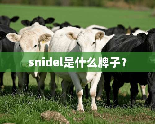 snidel是什么牌子？