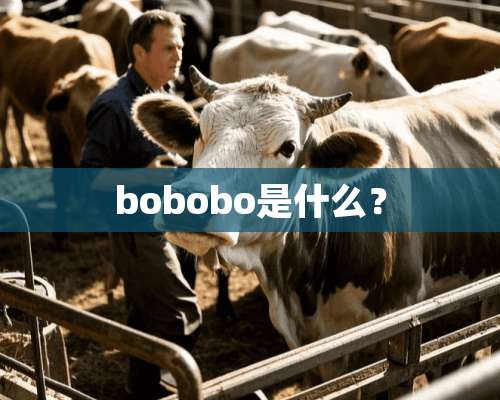 bobobo是什么？