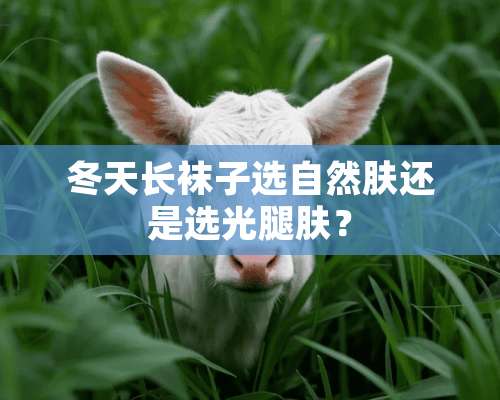 冬天长袜子选自然肤还是选光腿肤？