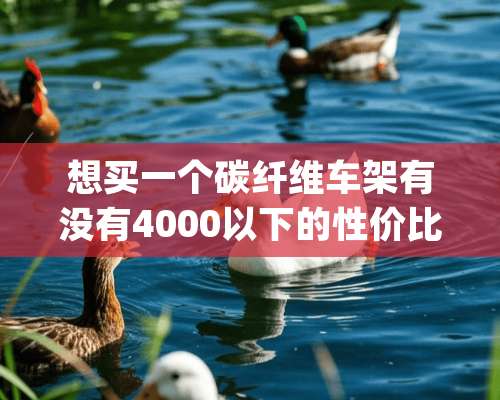 想买一个碳纤维车架有没有4000以下的性价比高一点的求推荐(公路车)