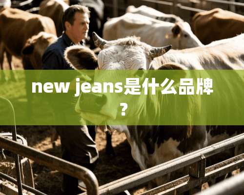 new jeans是什么品牌？