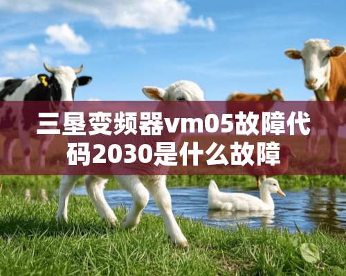 三垦变频器vm05故障代码2030是什么故障