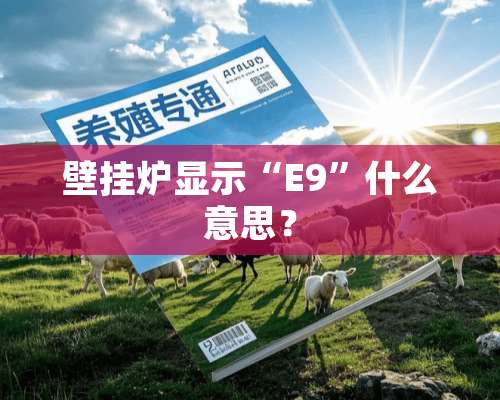 壁挂炉显示“E9”什么意思？