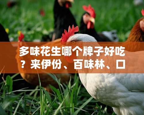 多味花生哪个牌子好吃？来伊份、百味林、口水娃、华味亨、座上客都，吃过了？