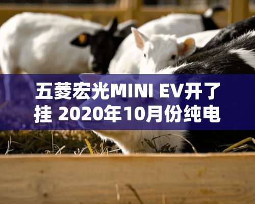 五菱宏光MINI EV开了挂 2020年10月份纯电动车型销量排行榜