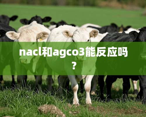 nacl和agco3能反应吗？