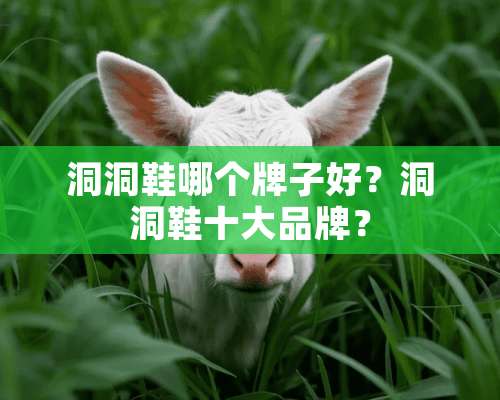 洞洞鞋哪个牌子好？洞洞鞋十大品牌？