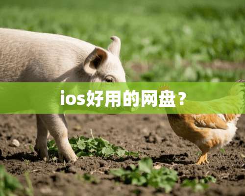 ios好用的网盘？