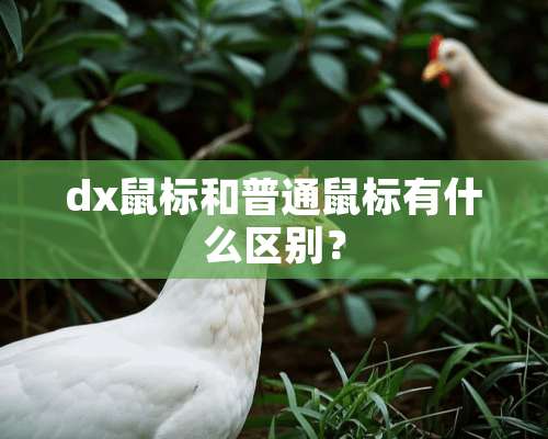 dx鼠标和普通鼠标有什么区别？