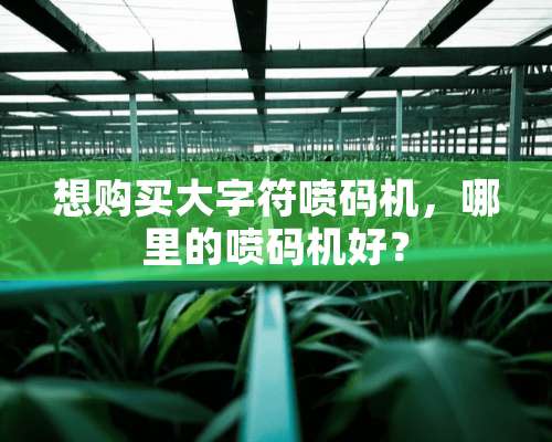 想购买大字符喷码机，哪里的喷码机好？