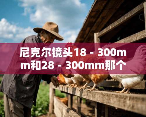 尼克尔镜头18－300mm和28－300mm那个好，有什么区别？