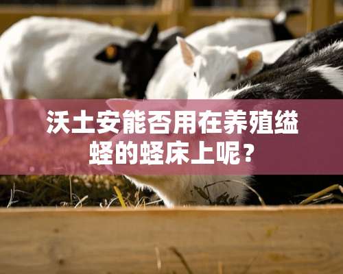 沃土安能否用在养殖缢蛏的蛏床上呢？