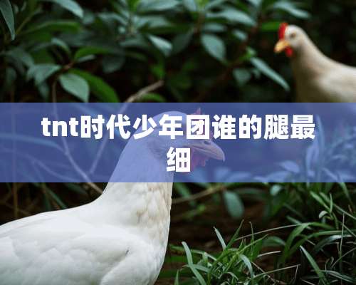 tnt时代少年团谁的腿最细