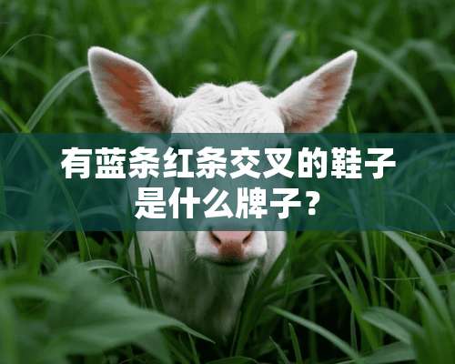 有蓝条红条交叉的鞋子是什么牌子？