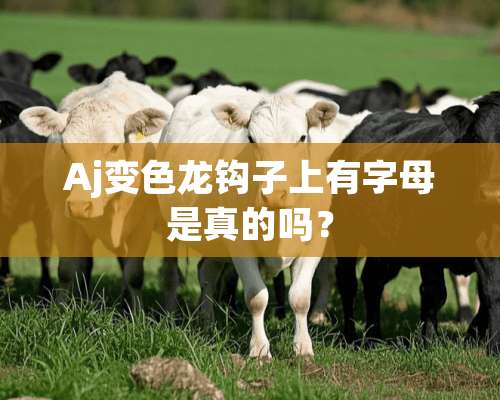 Aj变色龙钩子上有字母是真的吗？