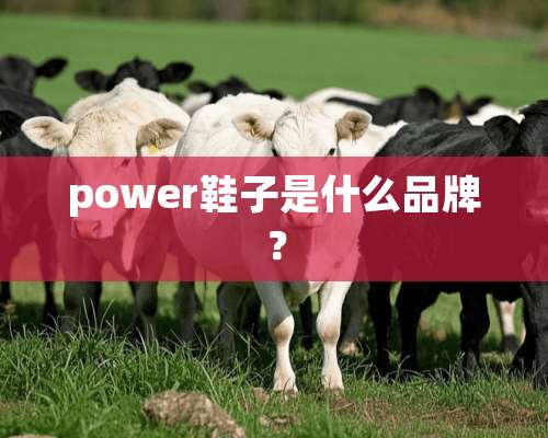 power鞋子是什么品牌？