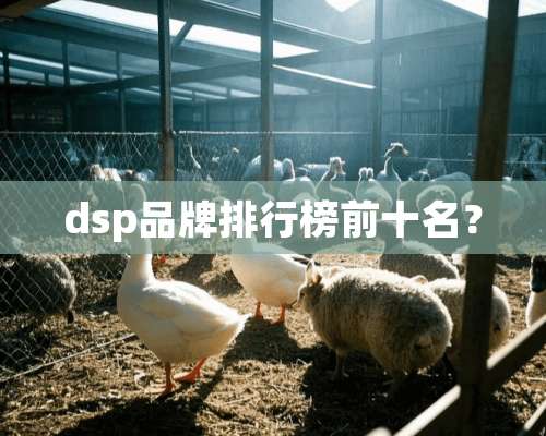 dsp品牌排行榜前十名？