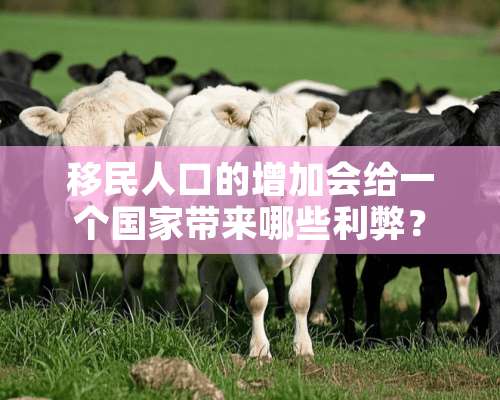 移民人口的增加会给一个国家带来哪些利弊？