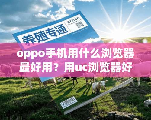 oppo手机用什么浏览器最好用？用uc浏览器好吗？