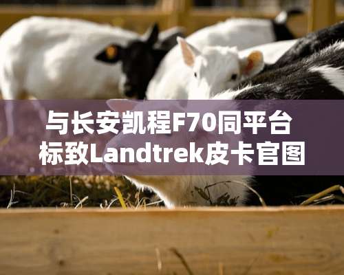 与长安凯程F70同平台 标致Landtrek皮卡官图发布