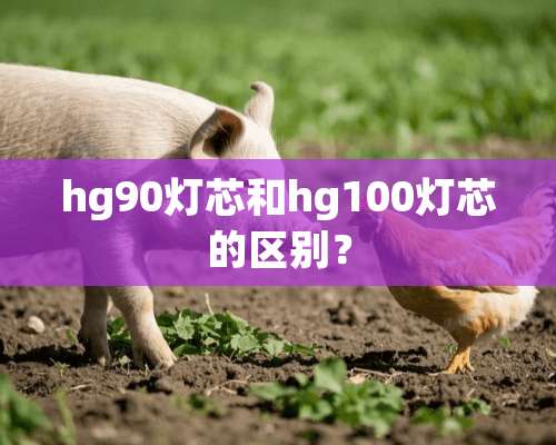 hg90灯芯和hg100灯芯的区别？