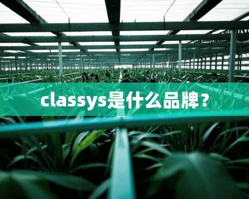 classys是什么品牌？